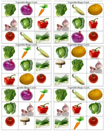 Vocabulary-Set 1 - Image 13