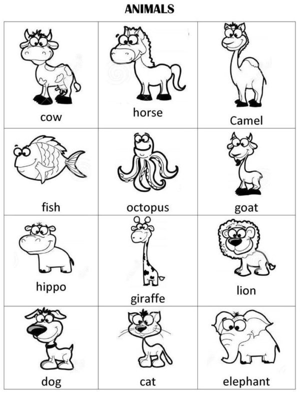 FREE- Set Of Animals Flashcards