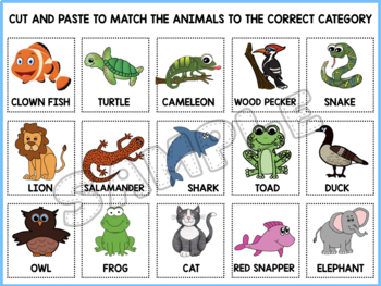 Animal Classification Worksheets – Cut and Paste
