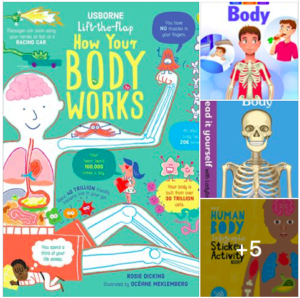 FREE- 8 Books for children about the body and how it works!