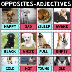 Opposites/adjectives DOG cards-