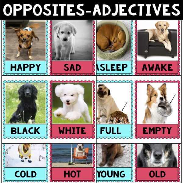 Opposites/adjectives DOG cards-